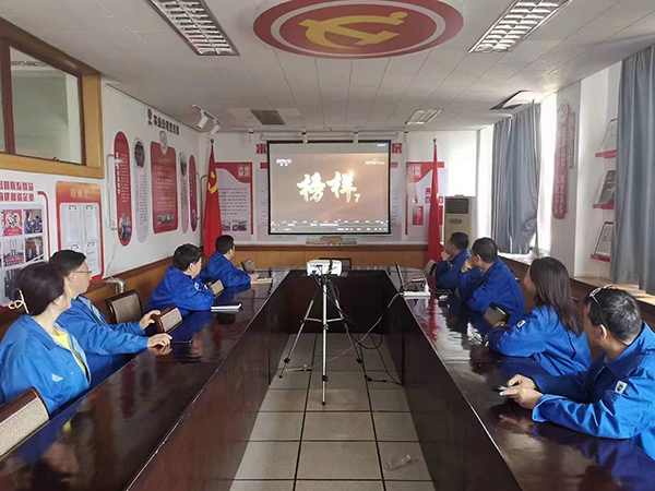3月27日，實(shí)業(yè)公司黨支部組織黨員干部觀看榜樣7(副圖）.jpg